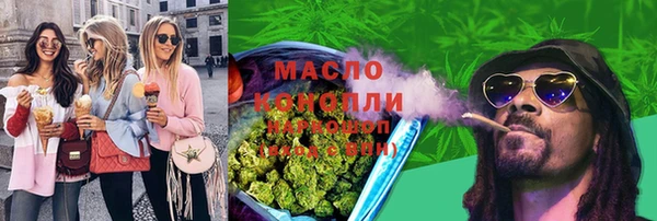 тгк Вяземский