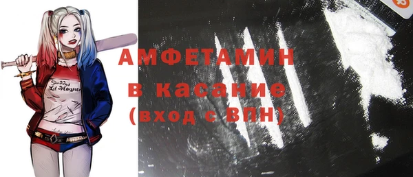 индика Горнозаводск