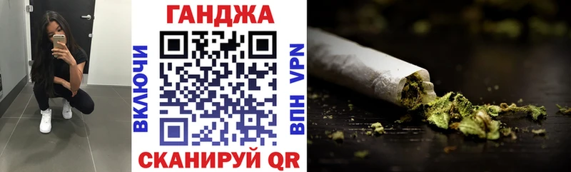 Купить закладки  Киселёвск  Каннабис сатива 